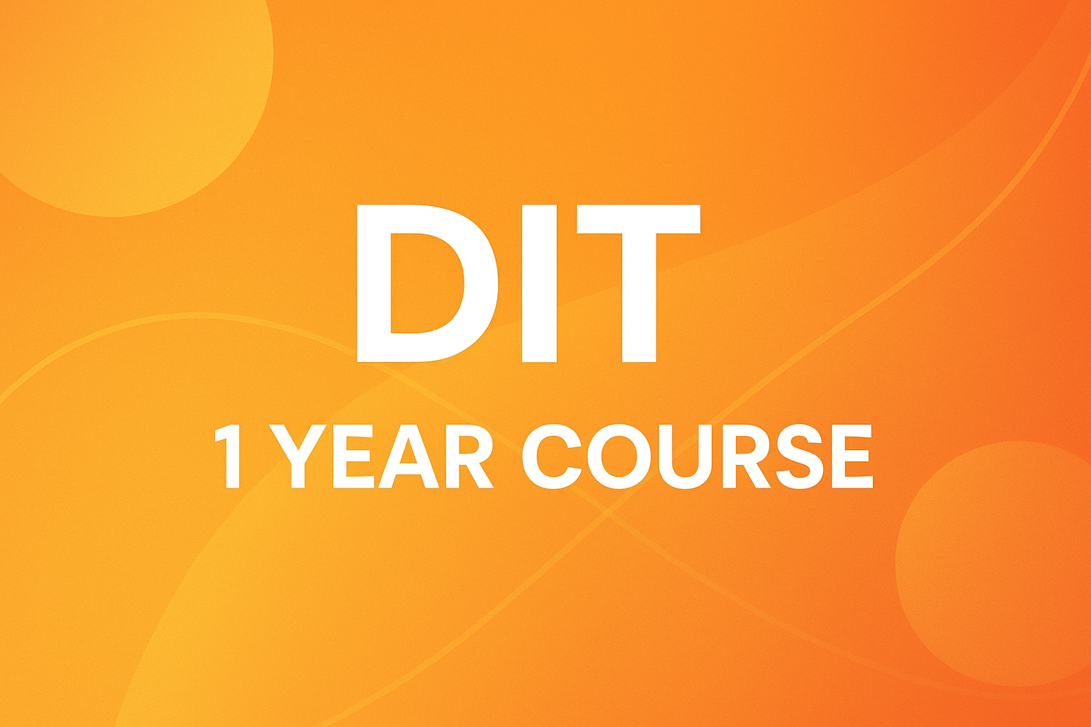 DIT 1 year